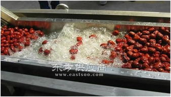 海產(chǎn)品清洗機(jī)器單價 諸城和義機(jī)械公司 天津海產(chǎn)品清洗機(jī)器圖片