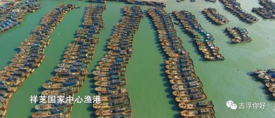 印象石獅丨風(fēng)情祥芝 蔚藍(lán)夢(mèng)想